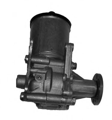 Hydraulic Pump, steering system P0110