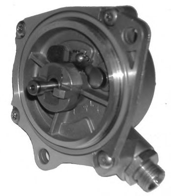 Vacuum Pump, brake system 6900752