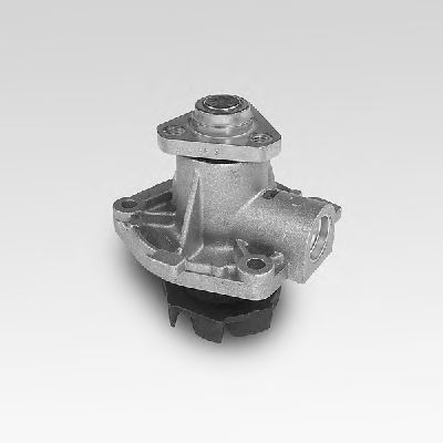 Water Pump P065