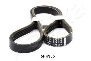 V-Ribbed Belts 112-5PK955