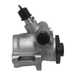 Hydraulic Pump, steering system P0180