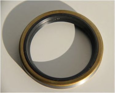Shaft Seal, differential 01020676B