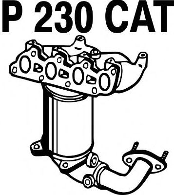 Katalizatör P230CAT