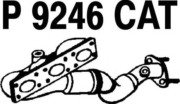 Catalytic Converter P9246CAT