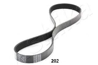 V-Ribbed Belts 96-02-202