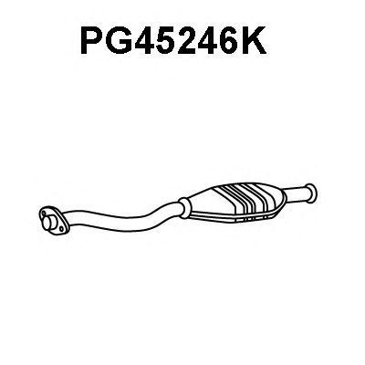 Katalysator PG45246K