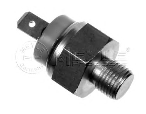 Temperature Switch, coolant warning lamp 100 810 0002