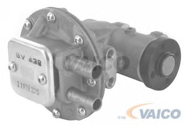 Vacuum Pump, brake system V22-0116