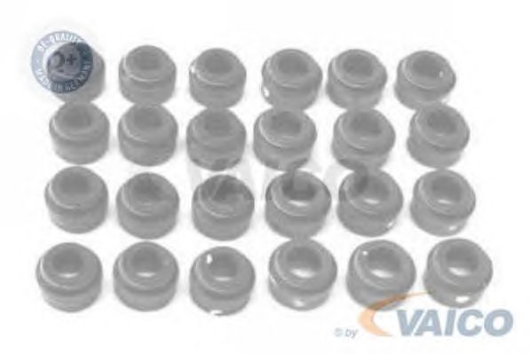 Seal Set, valve stem V30-0558