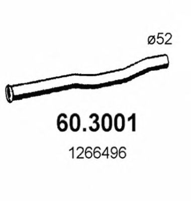 Exhaust Pipe 60.3001