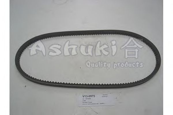 V-Ribbed Belts V13-0975