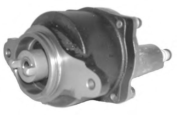 Vacuum Pump, brake system 6900056