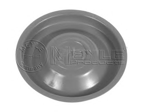 Cover Plate, releaser 100 141 0001