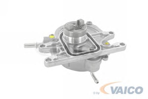 Vacuum Pump, brake system V40-8123