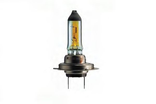 Bulb, spotlight; Bulb, headlight; Bulb, fog light; Bulb, headlight; Bulb, spotlight; Bulb, fog light 202136