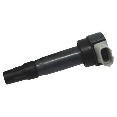 Ignition Coil 10662