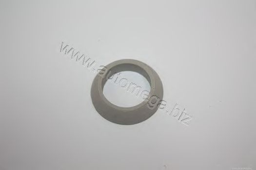 O-Ring, push rod tube 301090345113A