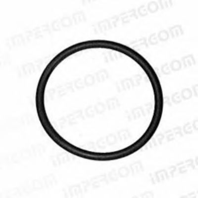 Shaft Seal, differential 26678