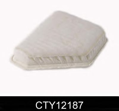 Hava filtresi CTY12187