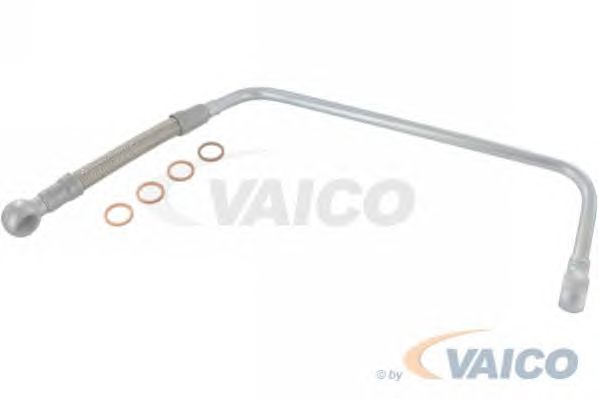 Oil Pipe, charger V10-8435