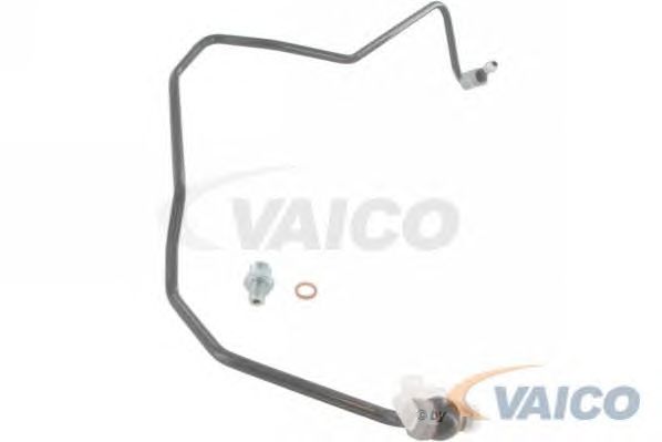 Oil Pipe, charger V10-8493