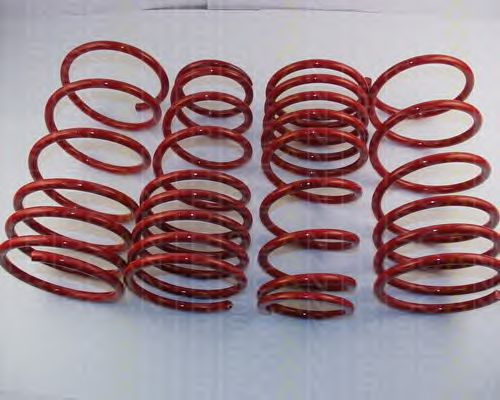 Suspension Kit, coil springs 8755 13006