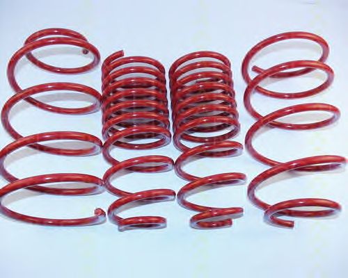 Suspension Kit, coil springs 8755 15015