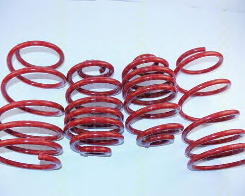 Suspension Kit, coil springs 8755 24022