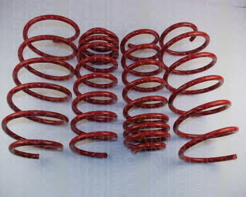 Suspension Kit, coil springs 8755 28016