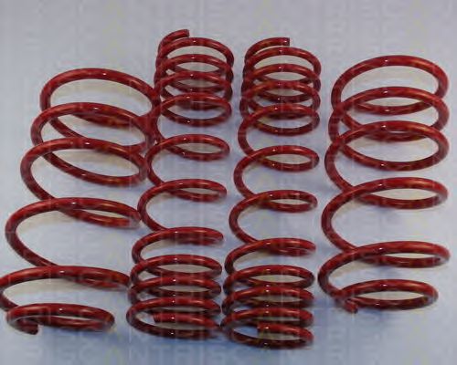 Suspension Kit, coil springs 8755 29002