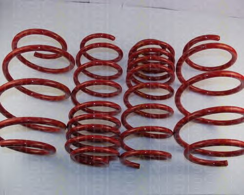 Suspension Kit, coil springs 8755 29013