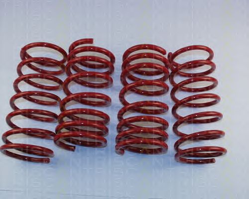 Suspension Kit, coil springs 8755 16001