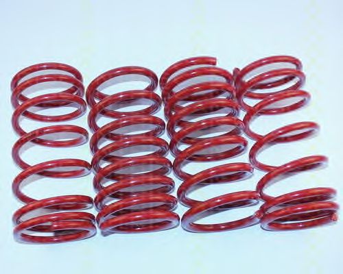 Suspension Kit, coil springs 8755 16007