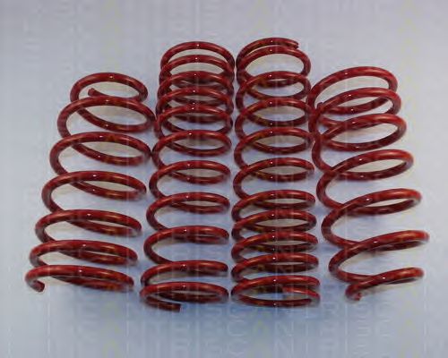 Suspension Kit, coil springs 8755 16014