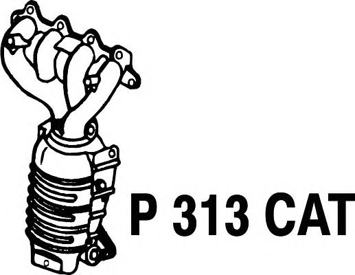 Katalysator P313CAT