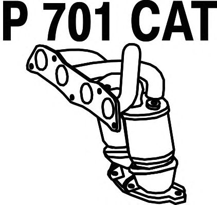Catalytic Converter P701CAT