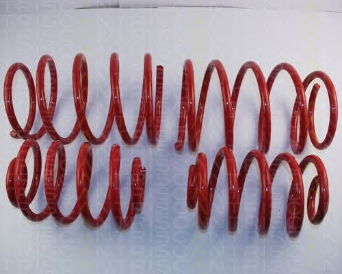 Suspension Kit, coil springs 8755 11013