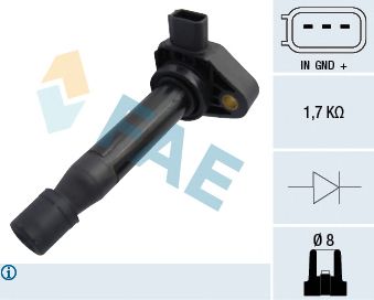 Ignition Coil 80300