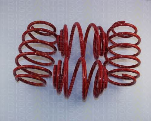 Suspension Kit, coil springs 8755 24013