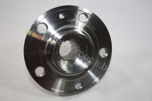 Wheel Bearing Kit 3040706216Q0AJ