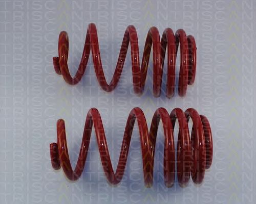 Suspension Kit, coil springs 8755 29030