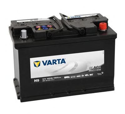 Starterbatteri; Starterbatteri 600123072A742