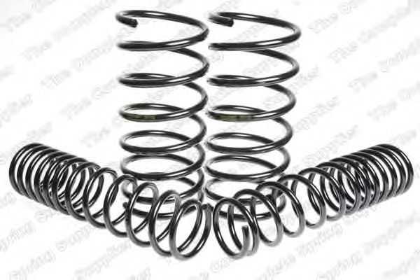 Suspension Kit, coil springs 4559204