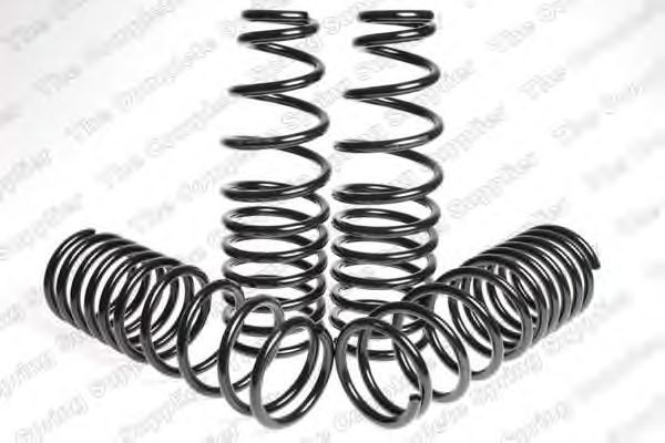 Suspension Kit, coil springs 4559208