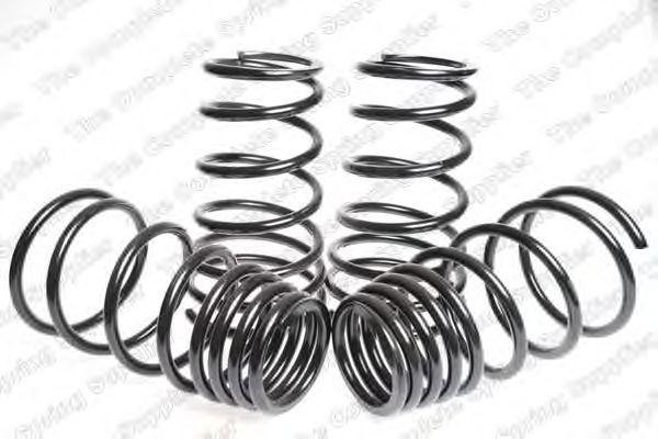Suspension Kit, coil springs 4592503