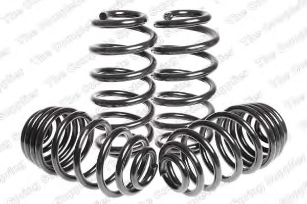 Suspension Kit, coil springs 4595060