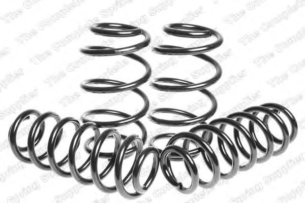 Suspension Kit, coil springs 4595073