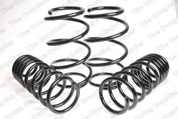 Suspension Kit, coil springs 912516