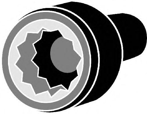 Cilinderkopbout 016738B