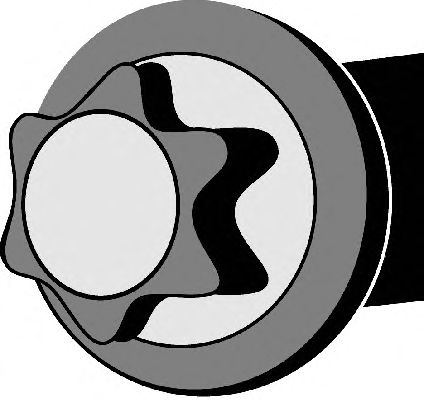 Cilinderkopbout 016196B
